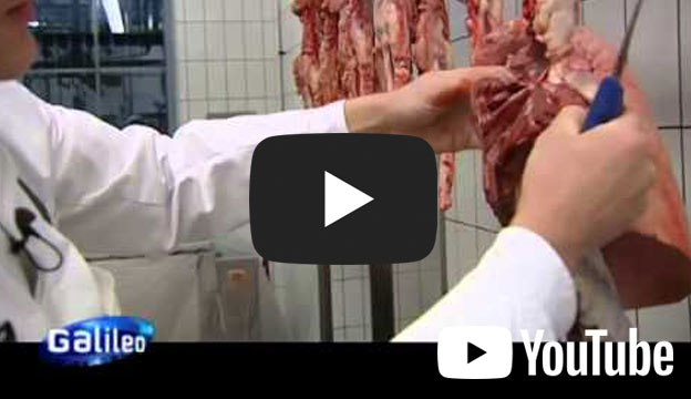 Video: Die Salami-Herstellung