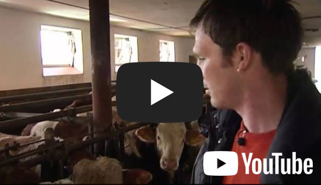 Video: Qualität aus der Region Video: Qualität aus der Region